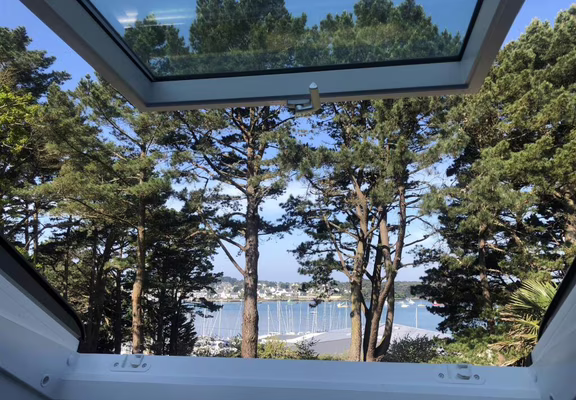vue de la wakame