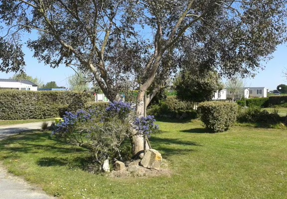 Camping-les-Ormeaux-Morbihan-Bretagne-Sud