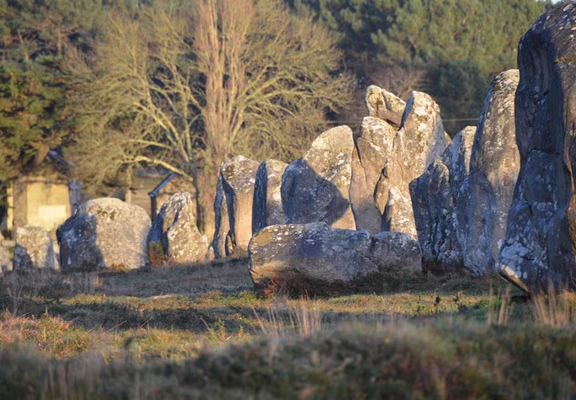 proche menhirs de Carnac