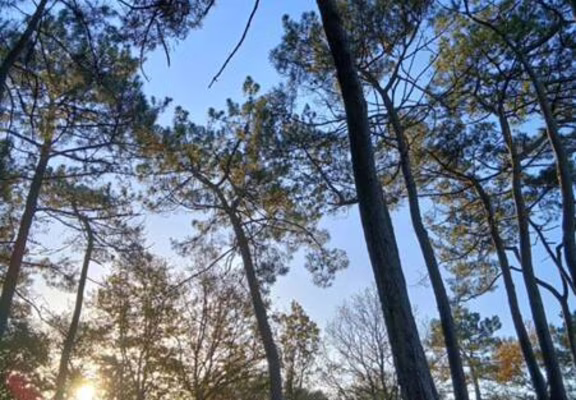 image-parc-2
