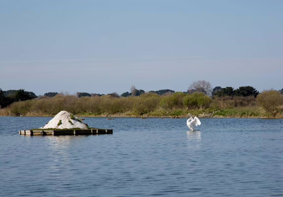 Vue-marais-salants-Petit-train-touristique-Carnac-Morbihan-Bretagne-Sud