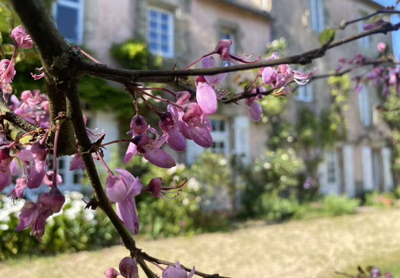 Au coeur du temps Auray