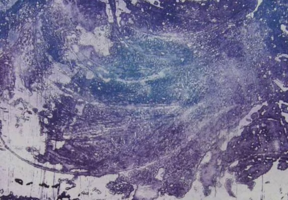 Avis de Tempête Cat