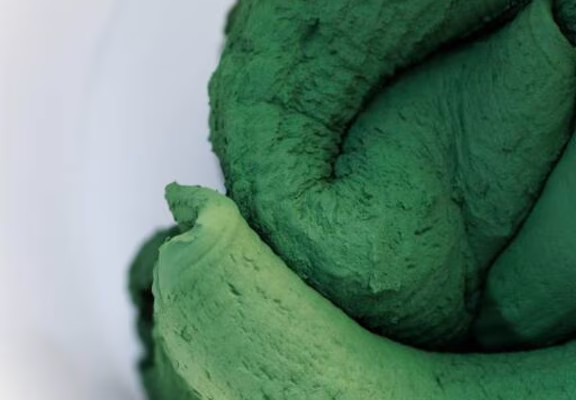 spiruline-préssée-algo-ria-Etel_5