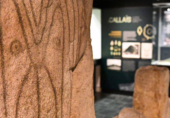 salle-musee-de-prehistoire-de-carnac