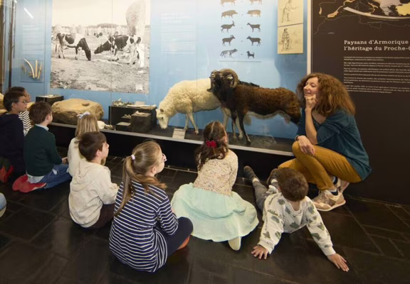 visite-musee-prehistoire-carnac