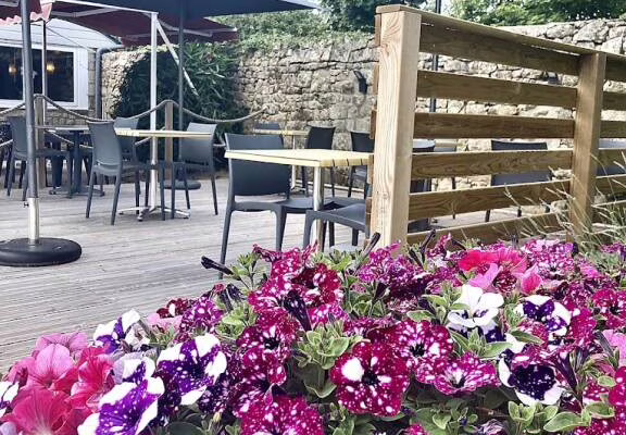 Terrasse Rose trémière